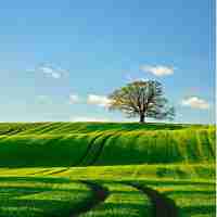 定﻿制﻿网﻿站﻿加‌速‍教​程‍视﻿频​下‌载​